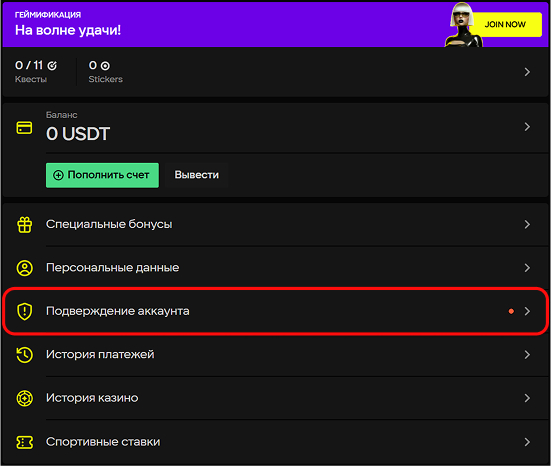 Проверка профиля и безопасность аккаунта