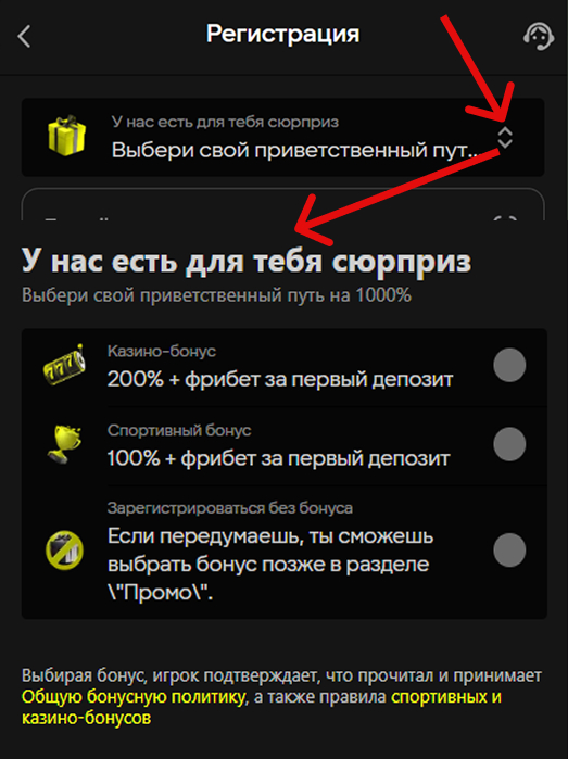Выбор бонуса при регистрации